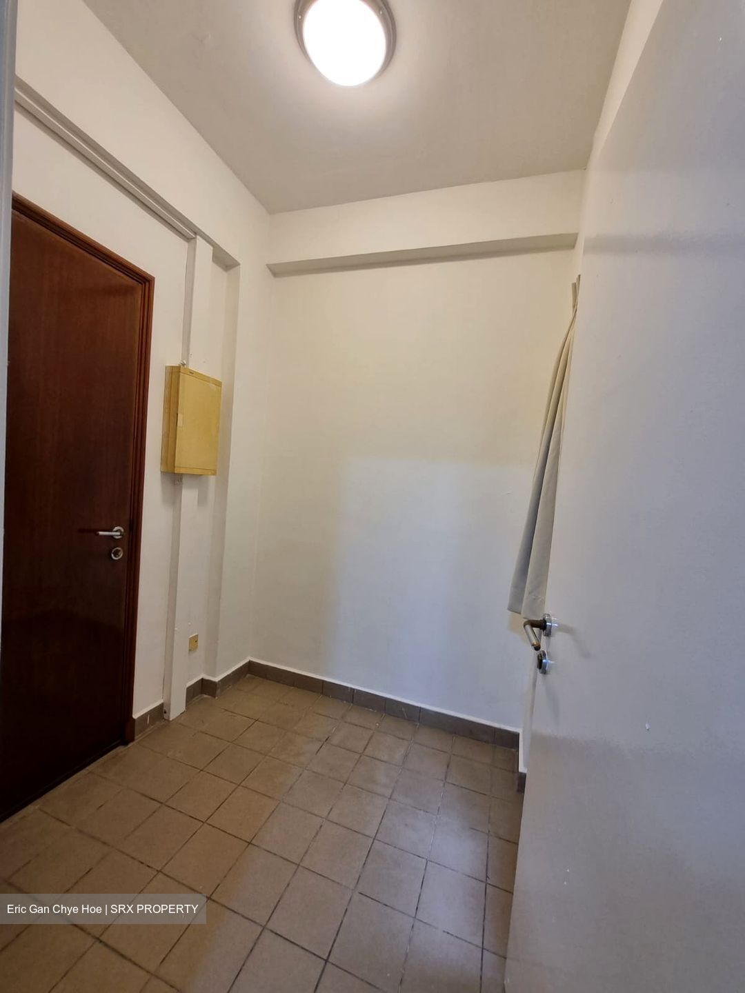 Cavenagh Lodge (D9), Apartment #621953831